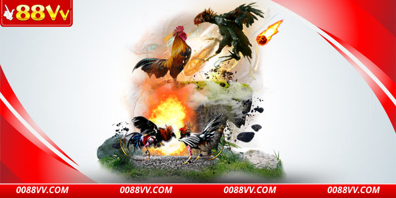 88VV cung cấp sân chơi chất lượng thu hút